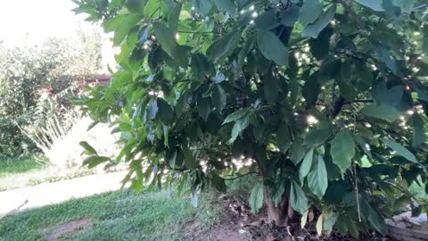 Andreea online show from September 2025 06:16:02 AM