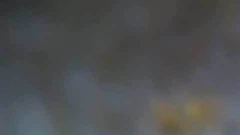 Snapshot of patty_squirt87 chatting on February 2026 02:51:01 AM patty squirt87 online show from February 2026 02:51:01 AM