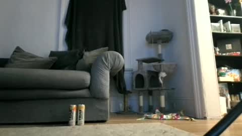 shy online show from April 2026 07:46:01 AM