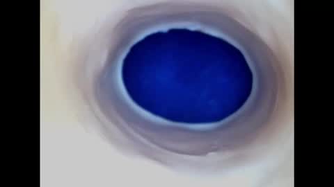 Paula 18 Aninhos online show from February 2025 03:01:02 AM