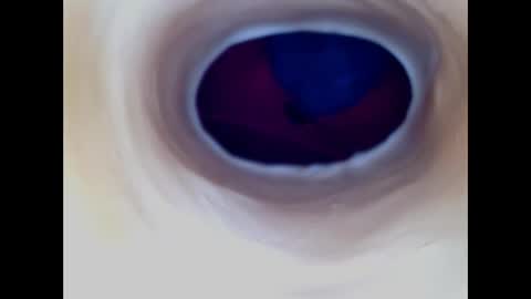 Snapshot of paulainoscente chatting on December 2025 05:57:01 AM Paula 18 Aninhos online show from December 2025 05:57:01 AM