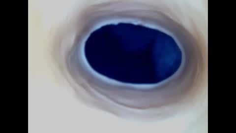 Snapshot of paulainoscente chatting on December 2025 01:03:01 AM Paula 18 Aninhos online show from December 2025 01:03:01 AM