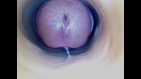 Snapshot of paulainoscente chatting on January 2026 06:02:02 PM Paula 18 Aninhos online show from January 2026 06:02:02 PM