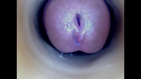 Snapshot of paulainoscente chatting on January 2026 07:52:02 PM Paula 18 Aninhos online show from January 2026 07:52:02 PM