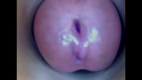 Snapshot of paulainoscente chatting on January 2026 11:41:02 PM Paula 18 Aninhos online show from January 2026 11:41:02 PM