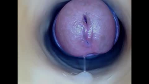 Snapshot of paulainoscente chatting on February 2026 05:11:01 PM Paula 18 Aninhos online show from February 2026 05:11:01 PM