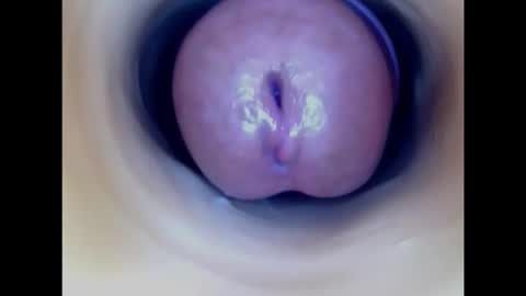 Snapshot of paulainoscente chatting on February 2026 04:35:02 PM Paula 18 Aninhos online show from February 2026 04:35:02 PM