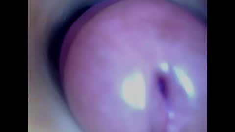 Snapshot of paulainoscente chatting on February 2026 06:13:01 AM Paula 18 Aninhos online show from February 2026 06:13:01 AM