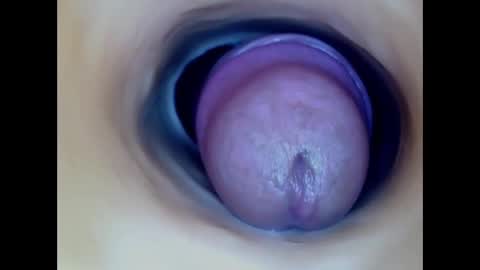 Snapshot of paulainoscente chatting on March 2026 10:16:01 PM Paula 18 Aninhos online show from March 2026 10:16:01 PM