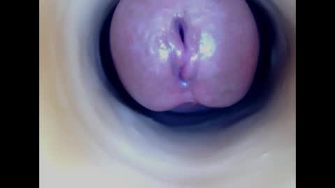 Snapshot of paulainoscente chatting on March 2026 11:08:01 PM Paula 18 Aninhos online show from March 2026 11:08:01 PM