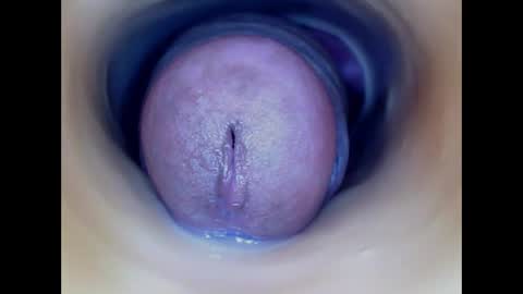 Snapshot of paulainoscente chatting on March 2026 05:18:02 PM Paula 18 Aninhos online show from March 2026 05:18:02 PM