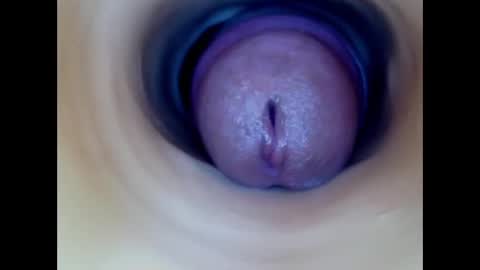 Snapshot of paulainoscente chatting on March 2026 07:52:02 PM Paula 18 Aninhos online show from March 2026 07:52:02 PM