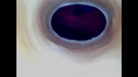 Snapshot of paulainoscente chatting on March 2026 09:25:01 PM Paula 18 Aninhos online show from March 2026 09:25:01 PM