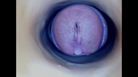 Snapshot of paulainoscente chatting on March 2026 06:09:02 PM Paula 18 Aninhos online show from March 2026 06:09:02 PM