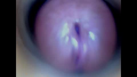 Snapshot of paulainoscente chatting on April 2026 02:20:01 AM Paula 18 Aninhos online show from April 2026 02:20:01 AM