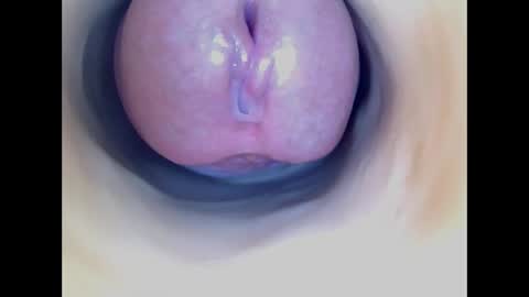 Snapshot of paulainoscente chatting on April 2026 12:11:02 AM Paula 18 Aninhos online show from April 2026 12:11:02 AM