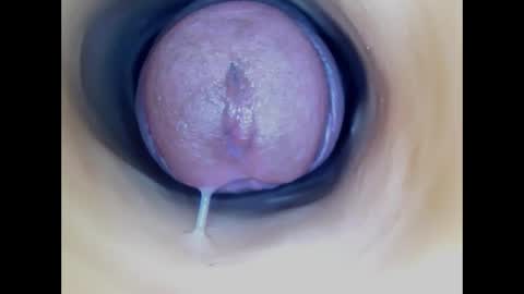 Snapshot of paulainoscente chatting on April 2026 03:11:02 AM Paula 18 Aninhos online show from April 2026 03:11:02 AM