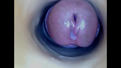 Snapshot of paulainoscente chatting on April 2026 04:07:01 AM Paula 18 Aninhos online show from April 2026 04:07:01 AM