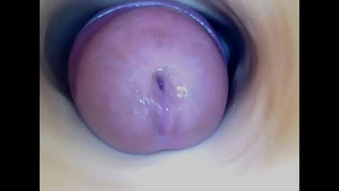 Snapshot of paulainoscente chatting on April 2026 07:58:02 PM Paula 18 Aninhos online show from April 2026 07:58:02 PM