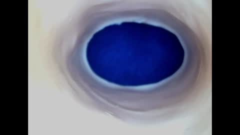 Snapshot of paulainoscente chatting on June 2026 05:06:01 PM Paula 18 Aninhos online show from June 2026 05:06:01 PM