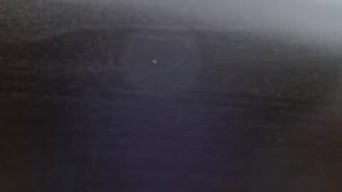 paulina online show from January 2025 02:40:02 PM