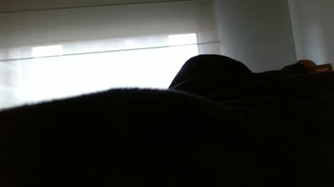 paulina online show from February 2025 03:42:02 PM