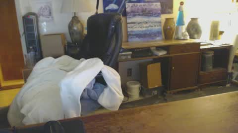 Snapshot of paulleroy chatting on January 2025 01:43:02 AM paulleroy online show from January 2025 01:43:02 AM