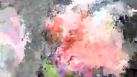 paulymcdona online show from April 2026 01:49:01 PM