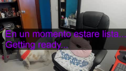 Tangerine Penaut online show from February 2026 10:36:02 PM