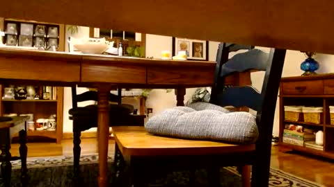 peecocktail online show from October 2025 05:07:02 AM