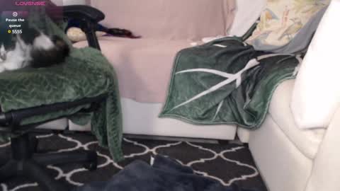 NEXT CHILL SESH  1130 930pm -ish PEEK online show from March 2025 02:19:02 AM