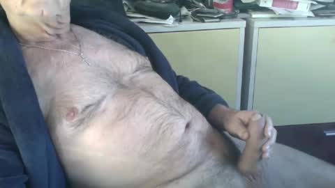 pegaso1000 online show from January 2026 09:58:02 AM