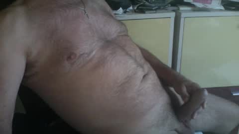 Snapshot of pegaso1000 chatting on August 2026 06:49:01 AM pegaso1000 online show from August 2026 06:49:01 AM