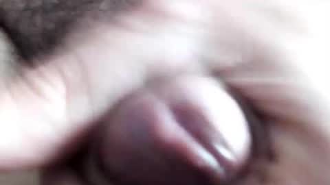 peiboluna online show from February 2025 10:59:02 AM