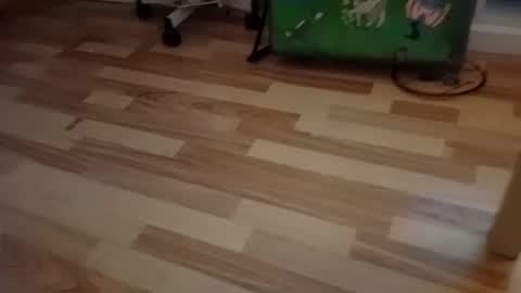 Snapshot of pepe_hard chatting on March 2026 06:58:01 AM pepe_hard online show from March 2026 06:58:01 AM