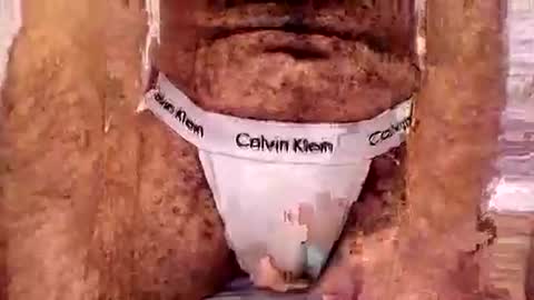 perfectFTM online show from March 2026 12:17:02 AM