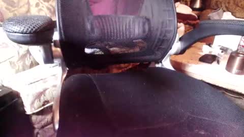 Snapshot of perfecto337 chatting on February 2026 03:20:01 PM perfecto337 online show from February 2026 03:20:01 PM