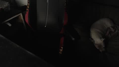 peterbeater2 online show from February 2025 07:45:01 AM