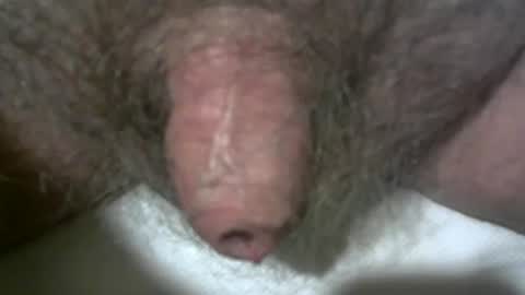 Snapshot of peterpeteropoulos chatting on February 2025 09:48:01 PM peterpeteropoulos online show from February 2025 09:48:01 PM