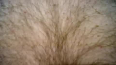 Snapshot of peterpeteropoulos chatting on February 2025 07:37:02 PM peterpeteropoulos online show from February 2025 07:37:02 PM