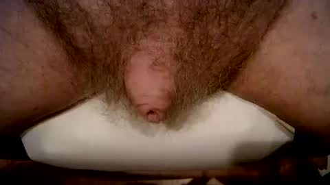 Snapshot of peterpeteropoulos chatting on February 2026 05:03:02 PM peterpeteropoulos online show from February 2026 05:03:02 PM