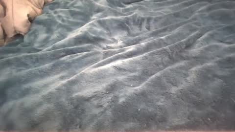 Snapshot of petite_cupcake chatting on February 2025 02:59:01 AM Little cupcake online show from February 2025 02:59:01 AM