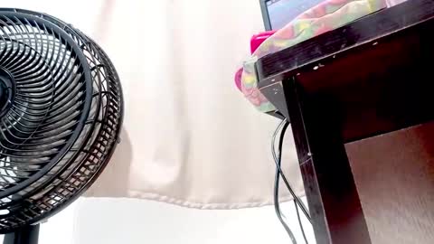 danna online show from November 2025 01:19:01 AM