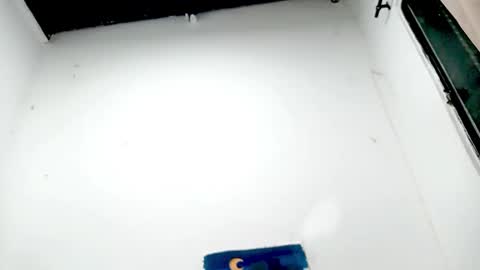 danna online show from November 2025 04:57:01 AM