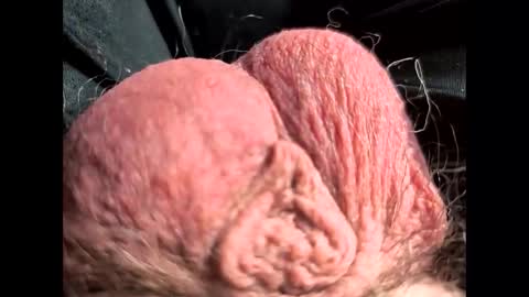 petrol63102 online show from February 2026 01:09:02 PM