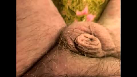 petrol63102 online show from April 2026 07:08:01 AM