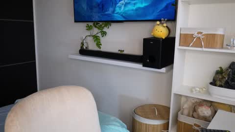 Pettercat online show from October 2025 03:32:01 PM