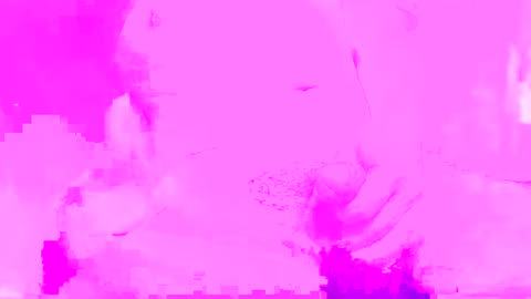 phantom online show from December 2024 05:21:01 PM