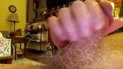 Phil online show from December 2024 04:34:01 AM