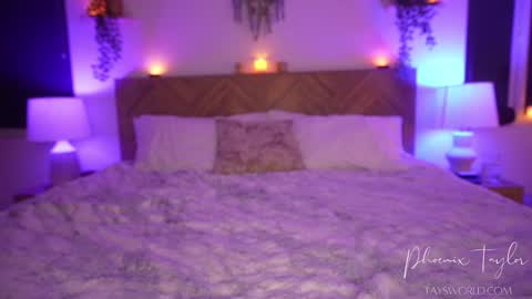 Snapshot of phoenix_taylor chatting on February 2026 02:09:02 AM PHOENIX TAYLOR online show from February 2026 02:09:02 AM